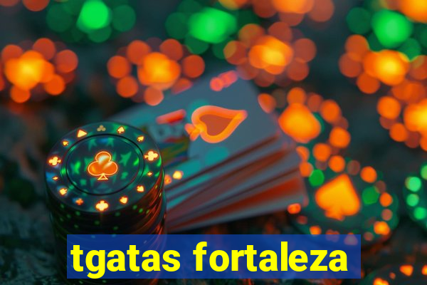 tgatas fortaleza